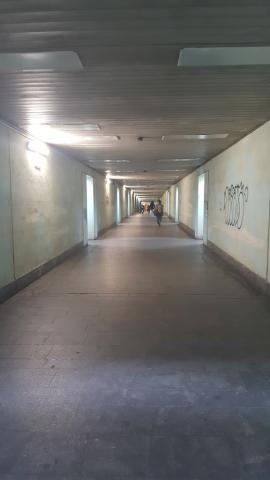 Fotografie Plzeň, CAN