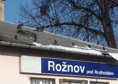 Fotografie Autobusové nádraží Rožnov pod Radhoštěm